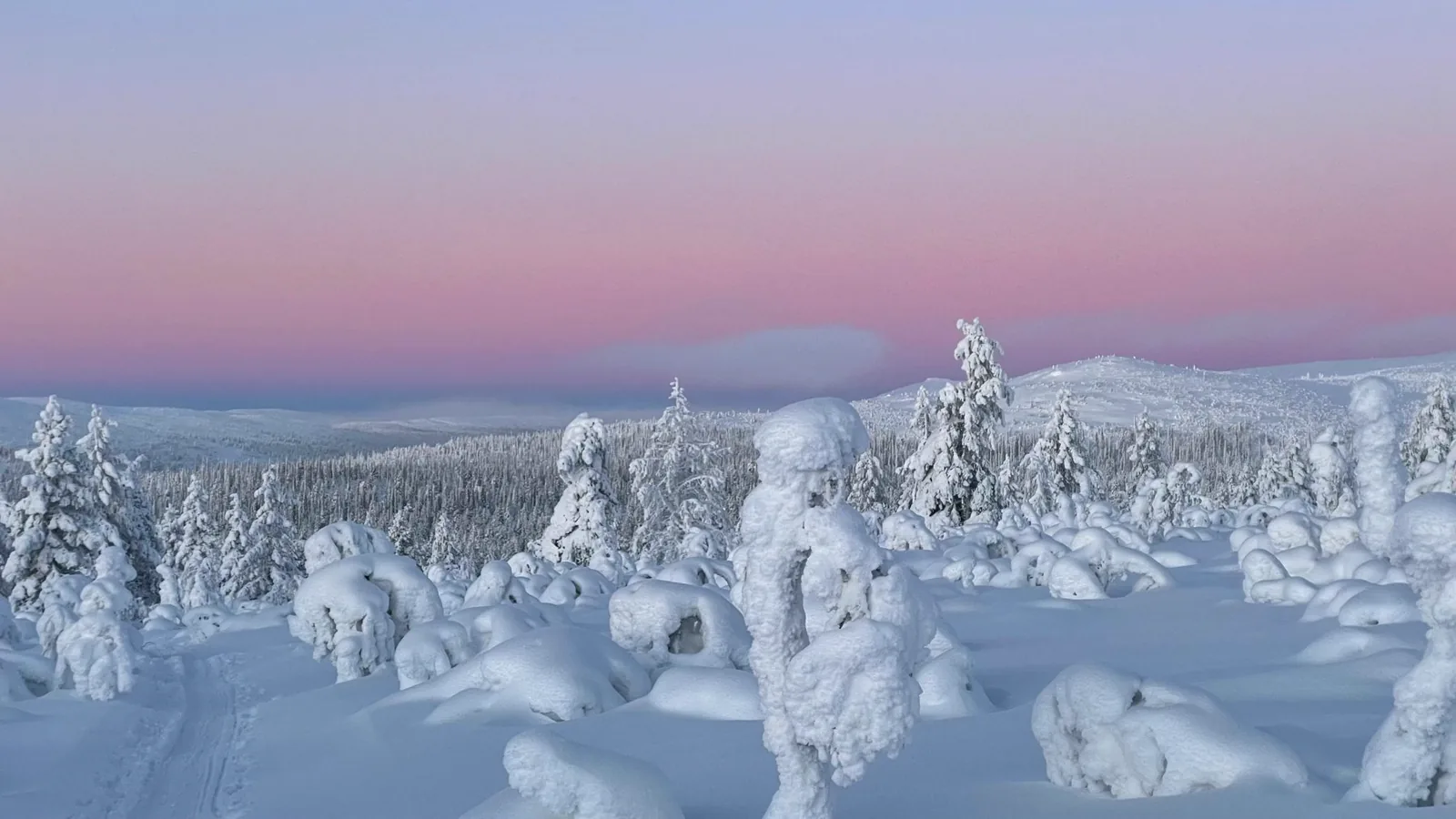 Snowshoe walks