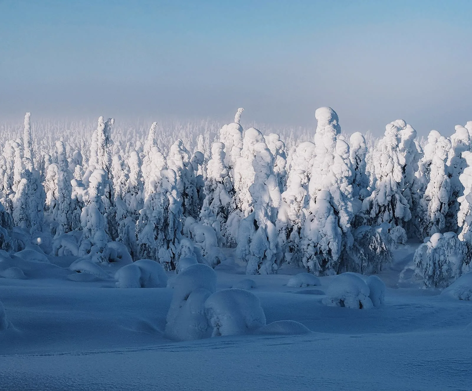 Pyhä-Luosto, Central Lapland