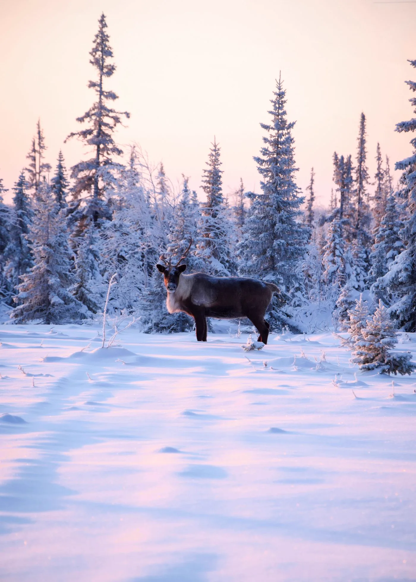 Rovaniemi, Southern Lapland